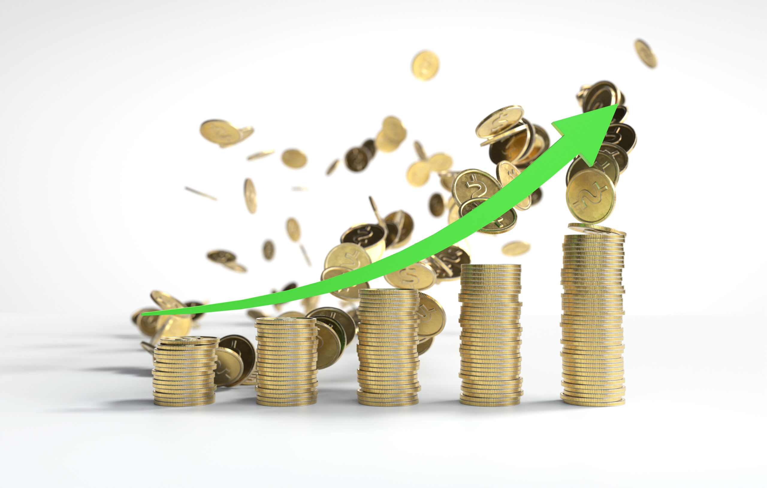 Investment Portfolio